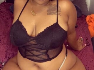 female-escorts-in-tampa-fl