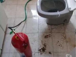 desentupidora-24h-em-praia-grande-whats-13-99127-8482-praia-grande-sp-pintor-de-parede-e-reformas