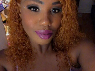 the-best-ever-female-escorts-in-montreal-canada