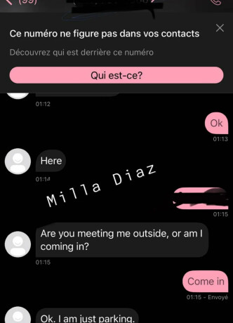 milla-diaz-female-escorts-in-oakville-canada-43-880-86004-big-1