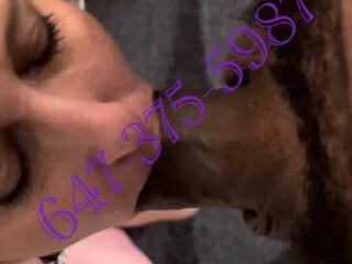 shaun-gay-escort-in-mississauga-canada