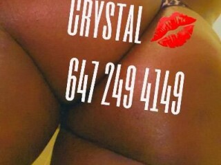 krystal-female-escorts-in-toronto-canada-1-647-249-4149