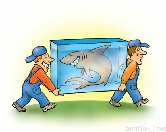 raznorabociegruzciki-v-brianske-predlozenie-uslugi-v-obieiavlenii-u7190252-3605847-na-baraxlanet-big-2