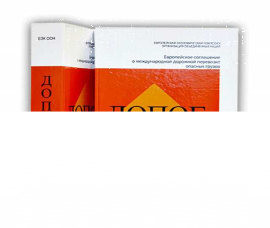 repetitor-po-obshhestvoznaniiu-v-nabereznyx-celnax-predlozenie-uslugi-v-obieiavlenii-u27512821-na-baraxlanet-big-4
