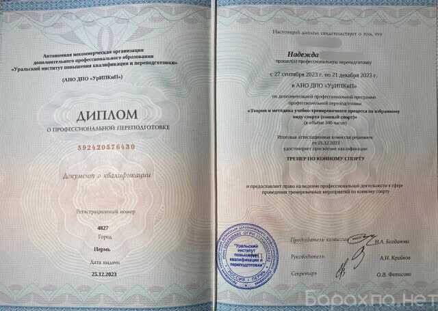 otdam-v-dobrye-ruki-kosku-v-ceboksarax-predlozenie-uslugi-v-obieiavlenii-u27786085-na-baraxlanet-big-0