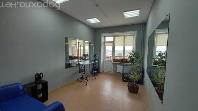 strizka-zivotnyx-v-brianske-predlozenie-uslugi-v-obieiavlenii-u27460410-na-baraxlanet-big-5