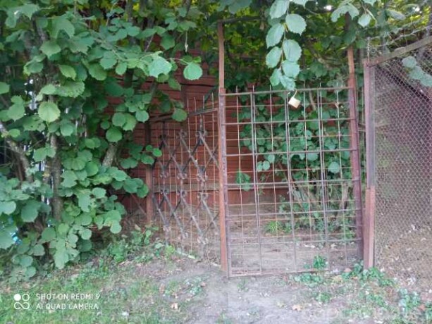 kotiat-v-magnitogorske-predlozenie-uslugi-v-obieiavlenii-u27483161-na-baraxlanet-big-3