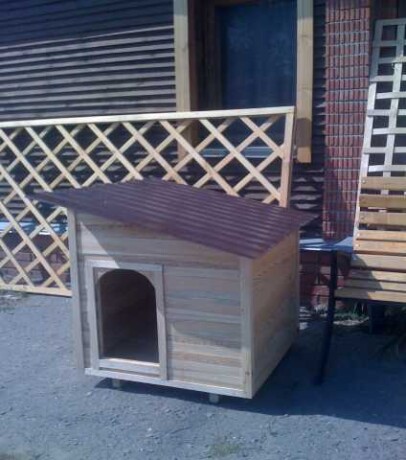 budki-volery-zagony-dlia-zivotnyx-v-penze-predlozenie-uslugi-v-obieiavlenii-u8399812-3879597-na-baraxlanet-big-5