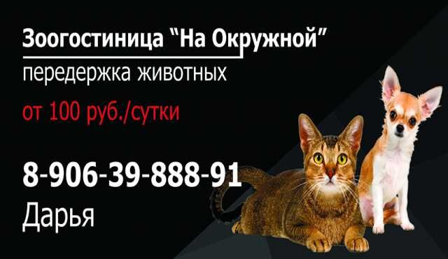 perederzka-barosa-v-ceboksarax-predlozenie-uslugi-v-obieiavlenii-u26946466-na-baraxlanet-big-3