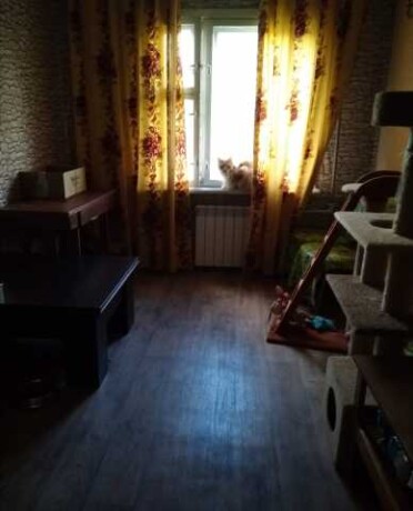 perederzka-barosa-v-ceboksarax-predlozenie-uslugi-v-obieiavlenii-u26946466-na-baraxlanet-big-1