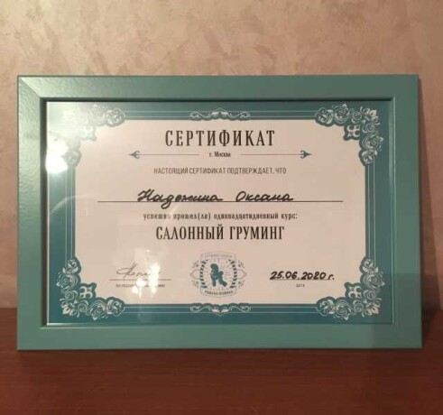 otdam-besplatno-v-dobrye-ruki-shhenka-v-tveri-predlozenie-uslugi-v-obieiavlenii-u26828970-na-baraxlanet-big-5
