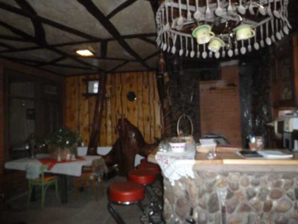 strizka-sobak-i-kosek-trimming-v-brianske-predlozenie-uslugi-v-obieiavlenii-u26518563-na-baraxlanet-big-5