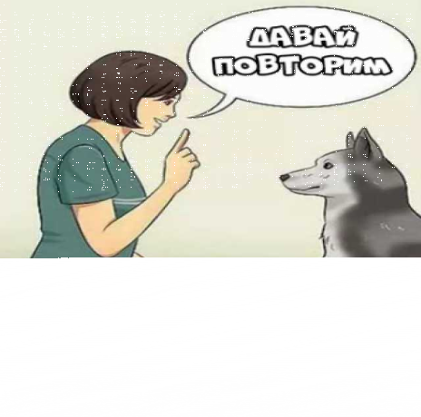 domasniaia-dressirovka-sobak-liubyx-porod-v-brianske-predlozenie-uslugi-v-obieiavlenii-u26323181-na-baraxlanet-big-3