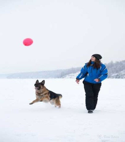 naxodkakutenok-labrador-predlozenie-uslugi-v-obieiavlenii-u26151603-na-baraxlanet-big-2