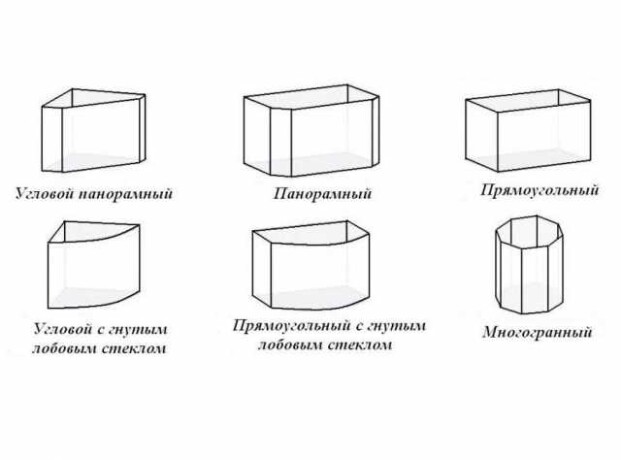 viazka-kotasottis-fold-sotland-visloux-v-nabereznyx-celnax-predlozenie-uslugi-v-obieiavlenii-u22250377-na-baraxlanet-big-0