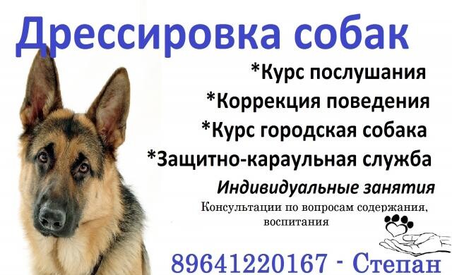 dressirovka-sobak-opytnyi-kinolog-v-irkutske-predlozenie-uslugi-v-obieiavlenii-u20801893-na-baraxlanet-big-2