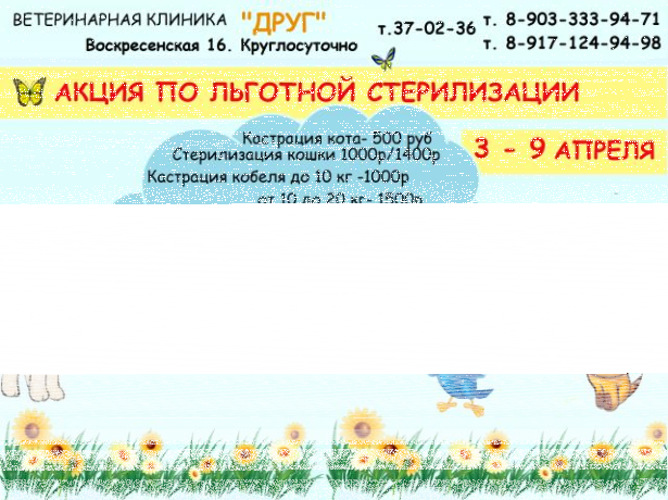 lgotnaia-sterilizaciiakastraciia-v-toliatti-predlozenie-uslugi-v-obieiavlenii-u22282169-na-baraxlanet-big-2