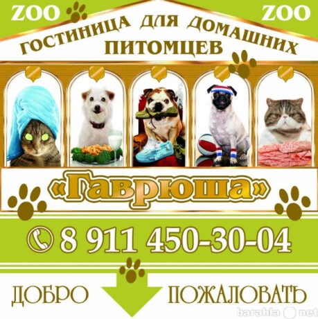 strizka-kosek-i-sobak-melkix-porod-v-kolomne-predlozenie-uslugi-v-obieiavlenii-u17258327-6232014-na-baraxlanet-big-2