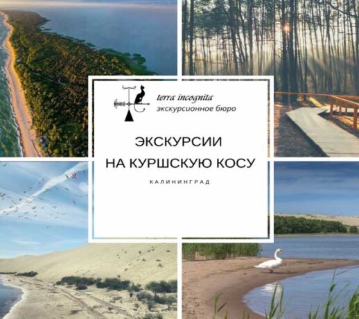 ekskursii-v-kaliningrade-terra-incognita-predlozenie-uslugi-v-obieiavlenii-u25495112-na-baraxlanet-big-2