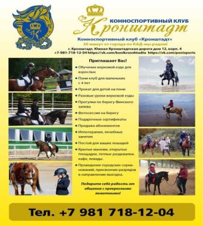 konnosportivnyi-klub-kronstadt-zdet-v-sanktpeterburge-predlozenie-uslugi-v-obieiavlenii-u26014432-na-baraxlanet-big-3