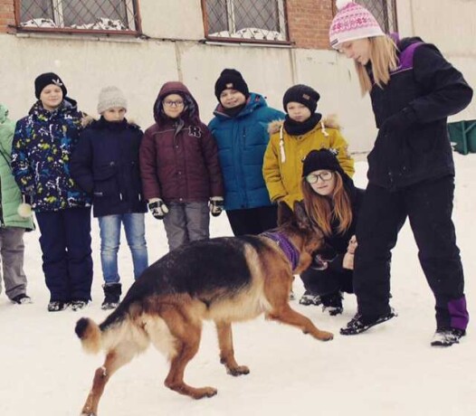 lucsie-sportivnye-lageria-v-rossii-i-za-r-v-sanktpeterburge-predlozenie-uslugi-v-obieiavlenii-u25985938-na-baraxlanet-big-0