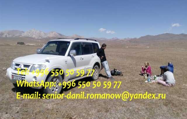 onlain-servis-2day2go-v-brianske-predlozenie-uslugi-v-obieiavlenii-u25795143-na-baraxlanet-big-1