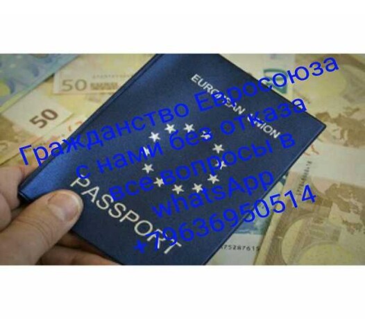 grazdanstvo-cexii-bez-otkaza-v-volgograde-predlozenie-uslugi-v-obieiavlenii-u25865930-na-baraxlanet-big-2