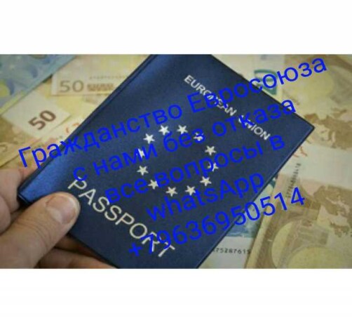 grazdanstvo-litvy-bez-otkaza-v-novosibirske-predlozenie-uslugi-v-obieiavlenii-u25865921-na-baraxlanet-big-2