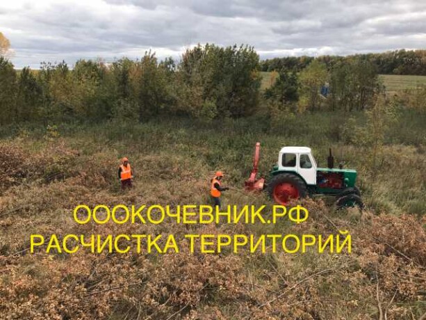 rascistka-zarossix-zemel-ot-kustov-de-v-belgorode-predlozenie-uslugi-v-obieiavlenii-u26899661-na-baraxlanet-big-5