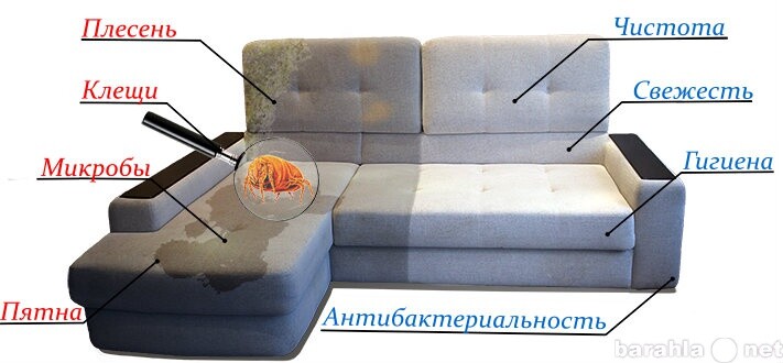 ximcistka-kovrov-i-miagkoi-mebeli-predlozenie-uslugi-v-obieiavlenii-u5912257-2967113-na-baraxlanet-big-2