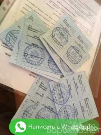 vyvoz-musora-uborka-territorii-v-kemerovo-predlozenie-uslugi-v-obieiavlenii-u5189040-2695162-na-baraxlanet-big-3