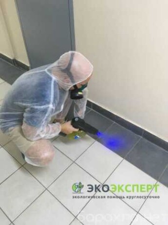 vyvoz-musora-v-xabarovske-predlozenie-uslugi-v-obieiavlenii-u6661778-3312727-na-baraxlanet-big-4