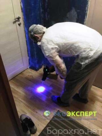 vyvoz-musora-v-xabarovske-predlozenie-uslugi-v-obieiavlenii-u6661778-3312727-na-baraxlanet-big-3