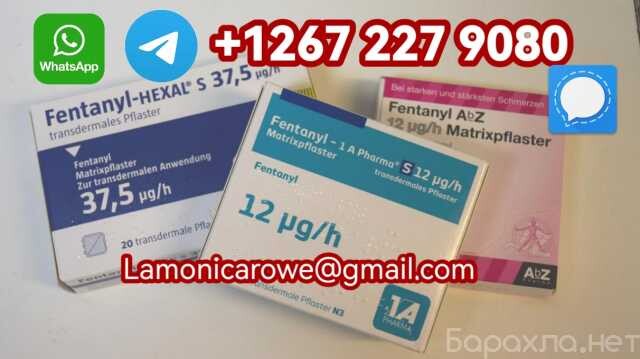 buy-fentany-heroin-powder-in-london-uk-v-astraxani-predlozenie-uslugi-v-obieiavlenii-u27749488-na-baraxlanet-big-2