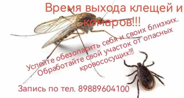 opilovkaobrabotka-ot-kleshhei-i-komarov-v-volgograde-predlozenie-uslugi-v-obieiavlenii-u27730756-na-baraxlanet-big-3