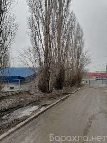 uborka-kvartir-pokraska-pokleika-oboev-v-ulanude-predlozenie-uslugi-v-obieiavlenii-u27730734-na-baraxlanet-big-0