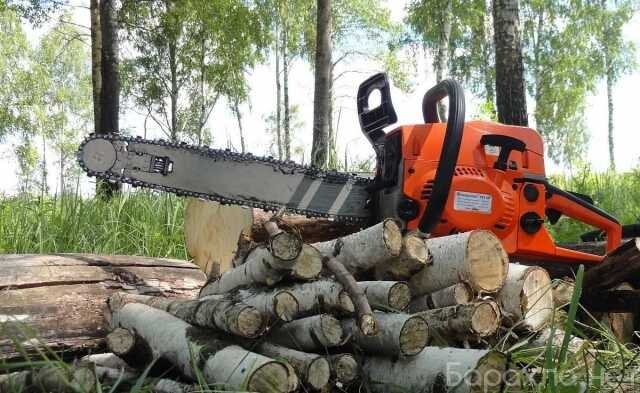 klining-v-novom-urengoe-predlozenie-uslugi-v-obieiavlenii-u27569640-na-baraxlanet-big-3
