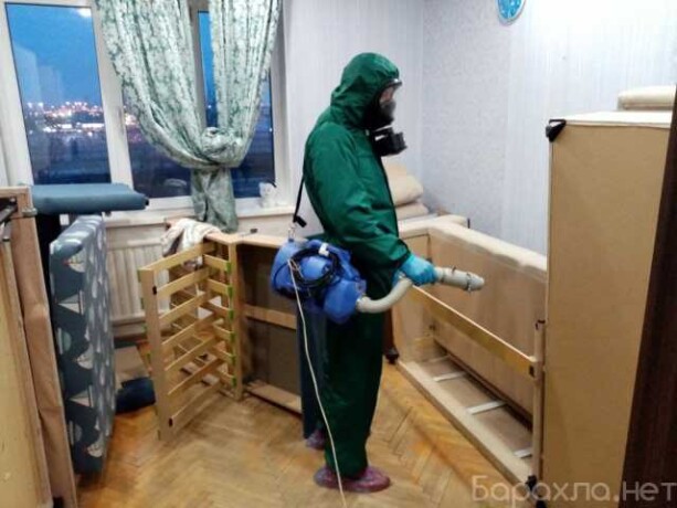 klining-v-novom-urengoe-predlozenie-uslugi-v-obieiavlenii-u27569640-na-baraxlanet-big-2