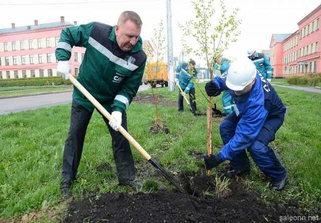 vyvoz-musoratransportgruzciki-v-volgograde-predlozenie-uslugi-v-obieiavlenii-u25851089-na-baraxlanet-big-3
