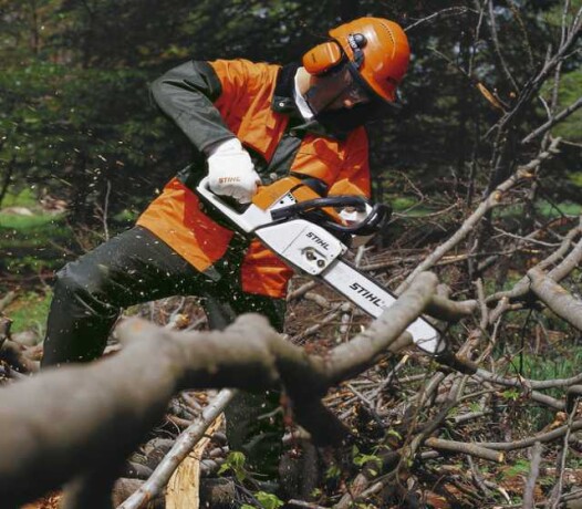 uslugi-pogruzcika-bobket-bobcat-v-engelse-predlozenie-uslugi-v-obieiavlenii-u21742323-na-baraxlanet-big-4