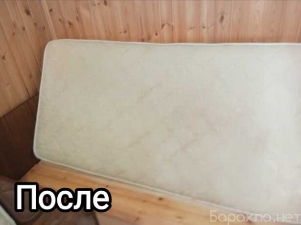 uslugi-pogruzcika-bobket-bobcat-v-engelse-predlozenie-uslugi-v-obieiavlenii-u21742323-na-baraxlanet-big-1