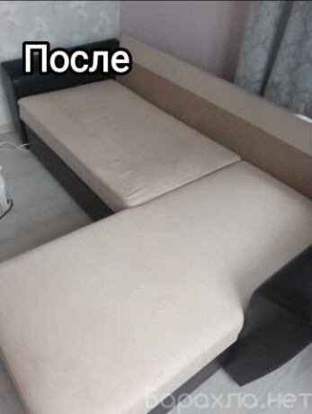 unictozenie-klopov-tarakanov-muravev-predlozenie-uslugi-v-obieiavlenii-u27543675-na-baraxlanet-big-0