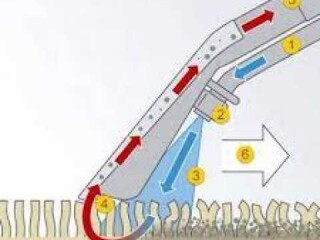 travim-nasekomyx-v-kvartirax-v-irkutske-predlozenie-uslugi-v-obieiavlenii-u8664319-4016555-na-baraxlanet