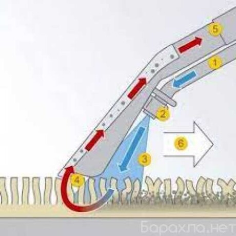 travim-nasekomyx-v-kvartirax-v-irkutske-predlozenie-uslugi-v-obieiavlenii-u8664319-4016555-na-baraxlanet-big-0