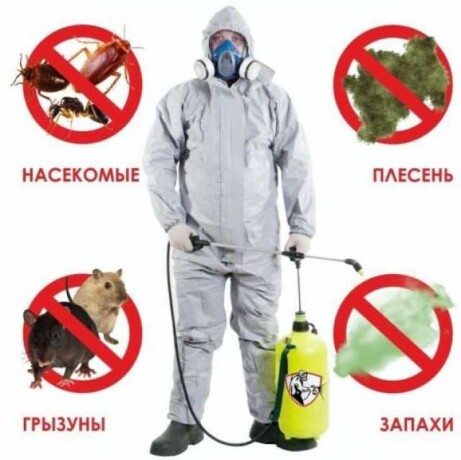 professionalnoe-unictozenie-nasekomyx-v-tiumeni-predlozenie-uslugi-v-obieiavlenii-u27489564-na-baraxlanet-big-2