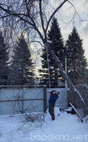 spil-derevev-irkutsk-predlozenie-uslugi-v-obieiavlenii-u27306351-na-baraxlanet-big-2