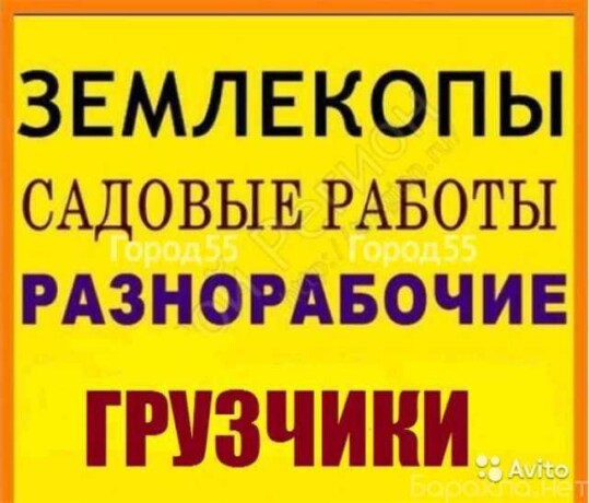 uborka-snega-gruzciki-raznorabocie-v-ceboksarax-predlozenie-uslugi-v-obieiavlenii-u27300393-na-baraxlanet-big-3