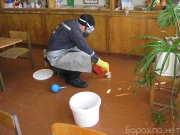 pokos-travy-v-novorossiiske-predlozenie-uslugi-v-obieiavlenii-u27247370-na-baraxlanet-big-1