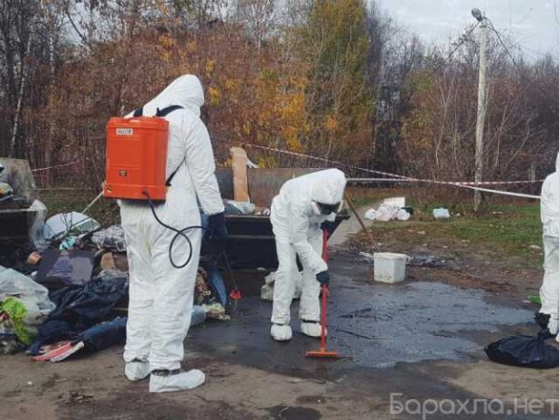 pokos-travy-v-novorossiiske-predlozenie-uslugi-v-obieiavlenii-u27247370-na-baraxlanet-big-0