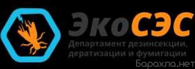 klining-v-brianske-predlozenie-uslugi-v-obieiavlenii-u27246768-na-baraxlanet-big-2